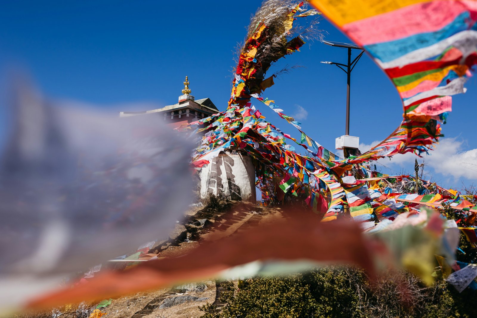 Arunachal Pradesh